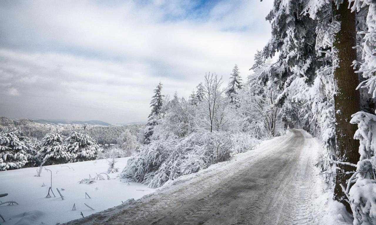 Sloneczny Chelm - Apartamenty W Gorach, Prywatna Sauna Jacuzzi Balia W Cenie, Spa, Grill, Stok Narciarski Myslenice, Sciezki Rowerowe, Rzeka Raba, Widok Na Tatry Extérieur photo