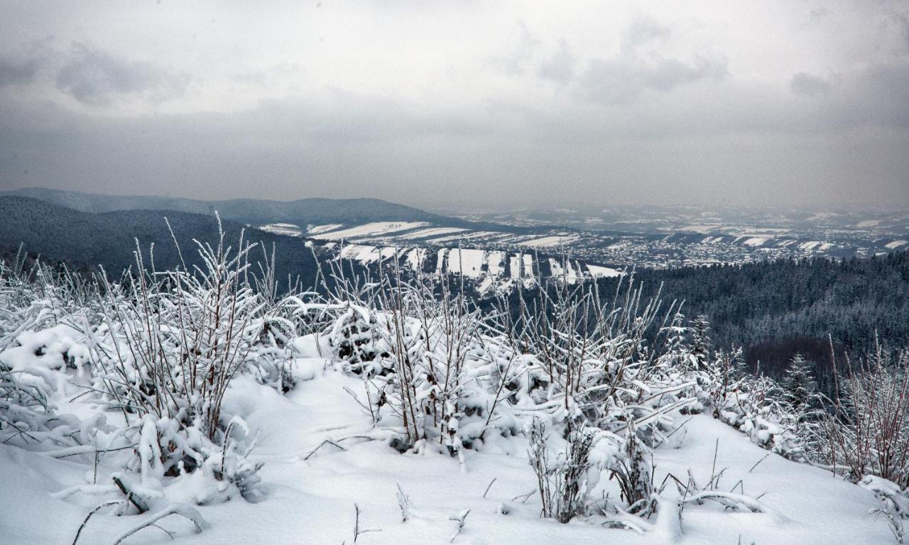 Sloneczny Chelm - Apartamenty W Gorach, Prywatna Sauna Jacuzzi Balia W Cenie, Spa, Grill, Stok Narciarski Myslenice, Sciezki Rowerowe, Rzeka Raba, Widok Na Tatry Extérieur photo
