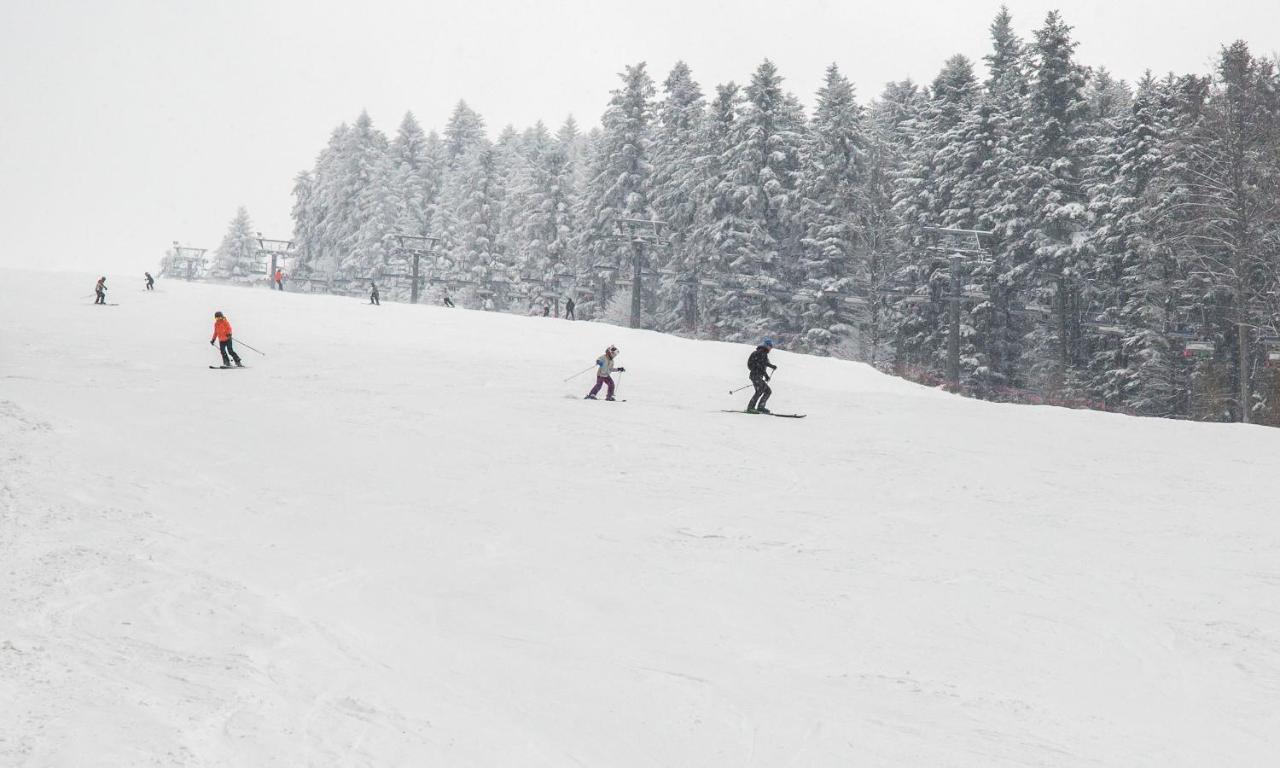 Sloneczny Chelm - Apartamenty W Gorach, Prywatna Sauna Jacuzzi Balia W Cenie, Spa, Grill, Stok Narciarski Myslenice, Sciezki Rowerowe, Rzeka Raba, Widok Na Tatry Extérieur photo